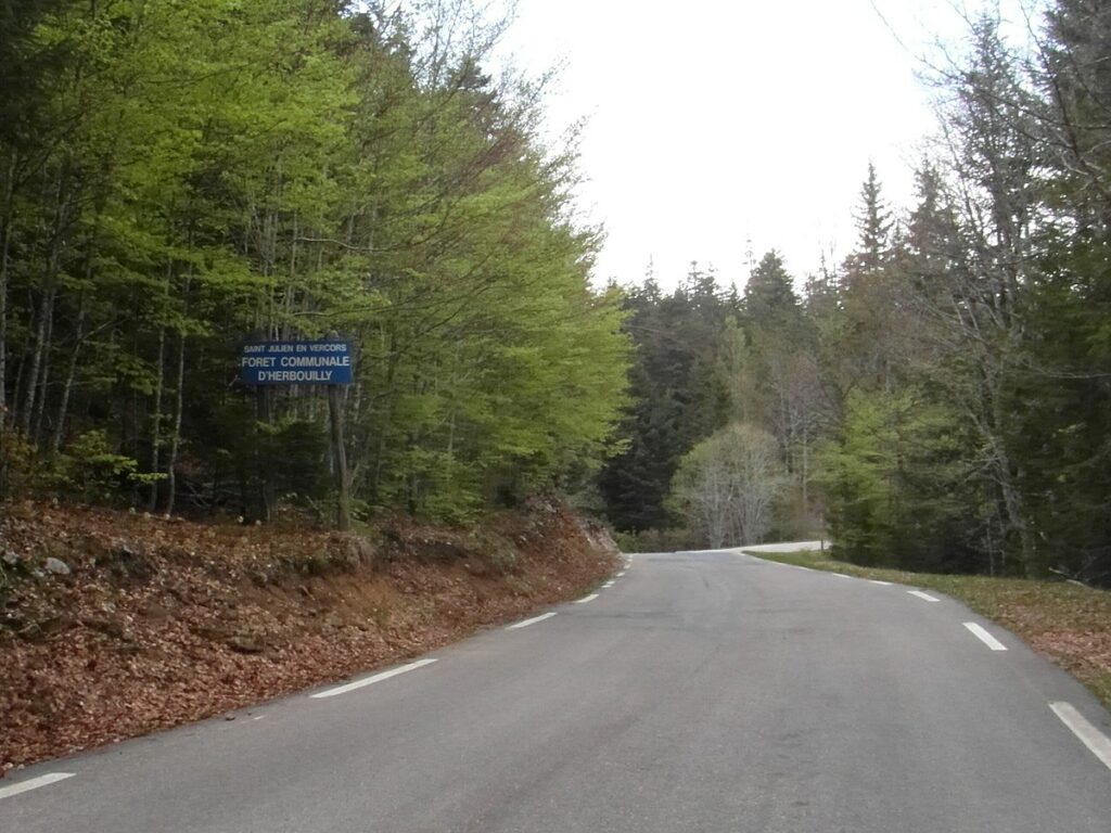 Forêt d'Herbouilly