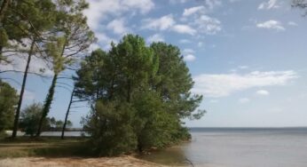 Lac de Cazaux : guide pour explorer ce paradis caché entre Landes et océan