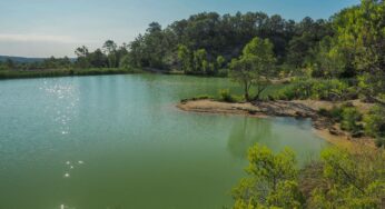 Guide complet du Lac de Claret : accès, activités et biodiversité