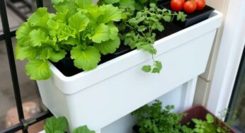 Aménager un potager sur son balcon en avril : guide détaillé