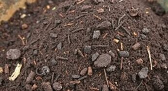 Engrais naturels à utiliser en avril pour nourrir son jardin