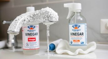 Calcaire : l’astuce choc au vinaigre blanc pour sauver vos robinets
