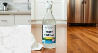 Vinaigre blanc : ces 12 utilisations dangereuses qui menacent votre maison