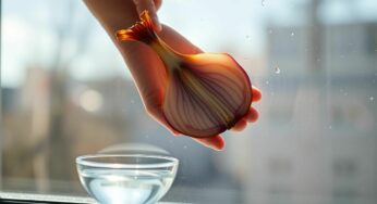 Ammoniaque : le remède surprenant pour vitres sans traces