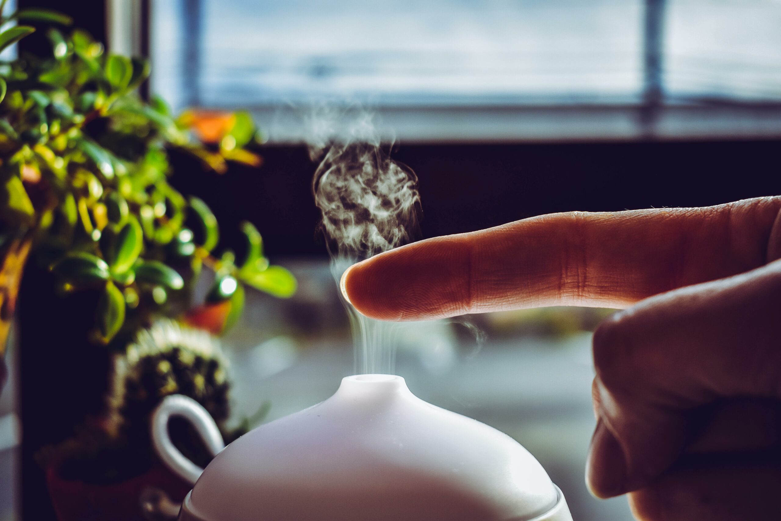 Déshumidificateur ou ventilation