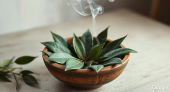 Purification ancestrale : le laurier brûlé, ce rituel oublié qui purifie votre air et réduit le stress