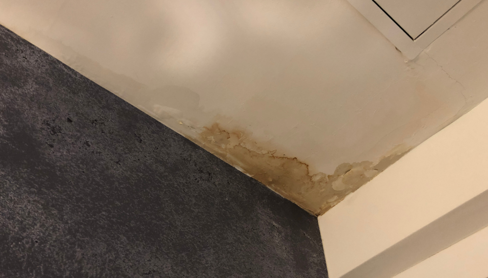 Une fuite de toiture ne se manifeste pas toujours par une flaque d'eau au beau milieu du salon. Elle commence souvent en sourdine : une légère auréole sur un plafond, une cloque qui se forme dans la peinture, une odeur de renfermé qui s'installe à l'étage. Et c'est précisément cette discrétion qui la rend redoutable. Faute d'être repérée à temps, elle s'aggrave silencieusement jusqu'au sinistre structurel. Dans le Var, le climat méditerranéen accélère ce processus : pluies brèves mais violentes, mistral, soleil agressif. Comprendre l'ensemble des signes annonciateurs d'une réparation de toiture pour cause de fuite permet d'agir avant que l'addition ne s'envole. Tour d'horizon des indices à connaître et des bons réflexes à adopter ! Les signes visibles qui trahissent une fuite de toiture dans le Var Rares sont les infiltrations qui passent totalement inaperçues. Elles laissent presque toujours des indices visibles qu'un œil averti sait repérer. Voici les plus fréquents : Des taches, auréoles ou cloques au plafond : attention, le point d'apparition n'indique pas toujours la zone exacte de l'infiltration. L'eau ruisselle souvent le long de la charpente avant de s'infiltrer dans le plafond plusieurs mètres plus loin. Une peinture qui s'écaille ou un papier peint qui se décolle, souvent dans les angles supérieurs des pièces situées sous toiture. Des moisissures noirâtres qui apparaissent dans les coins ou en haut des murs. Des mousses, lichens ou végétations parasites qui colonisent la couverture. Un goutte-à-goutte intermittent ou permanent entendu dans les combles, surtout après une pluie. Une odeur persistante d'humidité ou de renfermé qui s'installe à l'étage. Face à un ou plusieurs de ces signes, une réparation de toiture dans le Var menée rapidement permet d'éviter que l'infiltration ne compromette durablement la charpente ou l'isolation des combles. L'équation est simple : plus l'on tarde, plus le périmètre du chantier s'élargit. Les causes techniques les plus fréquentes derrière une infiltration Repérer les symptômes est une étape, comprendre leur origine en est une autre. Les couvreurs varois rencontrent quasi systématiquement les mêmes coupables derrière les fuites de toiture. Des tuiles cassées, micro-fissurées, déplacées ou poreuses après plusieurs années d'exposition aux intempéries. Un faîtage dégradé (ciment fissuré, tuiles faîtières descellées par le vent) qui laisse passer l'eau au point le plus haut de la couverture. Des solins défaillants autour des cheminées, lucarnes ou fenêtres de toit constituent des points faibles bien connus. Une zinguerie usée (gouttières percées, noues corrodées, chéneaux fendus) qui ne canalise plus correctement l'eau de pluie. Un écran de sous-toiture absent ou percé, notamment sur les bâtiments anciens jamais rénovés en profondeur. Une isolation des combles saturée d'humidité qui, sans être la cause initiale, aggrave fortement le problème en retenant l'eau au contact de la charpente. Cette grille de lecture aide à comprendre ce qu'un couvreur professionnel va chercher lors de son diagnostic. Très souvent, plusieurs causes coexistent et l'intervention demande un peu plus qu'un simple remplacement de tuile. Un climat méditerranéen qui fragilise durablement les toitures varoises Les couvertures varoises ne sont pas soumises aux mêmes contraintes que celles du Nord ou du Massif Central. Le climat méditerranéen impose un régime d'agressions très particulier qui nécessite d'être bien compris pour anticiper les fragilités. Les épisodes pluvieux méditerranéens sont brefs, mais d'une violence rare. En quelques heures, plusieurs dizaines de millimètres d'eau peuvent s'abattre, saturant les écoulements, soulevant les tuiles mal fixées et trouvant la moindre faille pour s'infiltrer. Les épisodes cévenols d'automne et les orages d'été en sont l'illustration la plus marquante. Le mistral, vent emblématique de la région, fragilise les fixations au fil des rafales. Il soulève les tuiles, décale les éléments de couverture et arrache les solins mal posés. Sa récurrence en fait un facteur d'usure permanent. Le soleil intense et les chocs thermiques créent des cycles de dilatation et de contraction qui fissurent progressivement les matériaux. Les tuiles canal en terre cuite, emblématiques du bâti provençal, présentent une porosité naturelle qui s'accentue avec le temps sous ces sollicitations répétées. À cela s'ajoutent les dépôts rougeâtres typiques de la région (poussières sahariennes, résidus de pollution) qui retiennent l'humidité, ainsi que les mousses et lichens favorisés par les hivers doux et humides du Var. Tous ces facteurs combinés expliquent pourquoi une toiture varoise vieillit plus vite qu'on ne l'imagine. Le bon moment pour engager une réparation de toiture dans le Var Une fois la fuite identifiée, la question du timing devient cruciale. Et la réponse est presque toujours la même : le plus tôt sera le mieux. Attendre, c'est laisser le problème grandir de manière exponentielle. La charpente saturée d'humidité devient le terrain de jeu idéal pour le développement de champignons lignivores comme la mérule, qui peuvent ronger les bois en profondeur et compromettre la structure même de la maison. De même, l'isolation des combles perd progressivement ses propriétés thermiques, ce qui se ressent sur les factures d'énergie. Et en cas de sinistre déclaré tardivement, l'assurance peut considérablement réduire son indemnisation au motif d'un défaut d'entretien. Le diagnostic professionnel reste la clé. L'origine d'une fuite est rarement située à la verticale exacte de la tache visible. Seul un couvreur expérimenté, comme Provence Solutions Habitat dans le département (83), peut remonter la piste de l'eau jusqu'à la fuite et proposer une réparation de toiture ciblée et durable. Plusieurs critères orientent le choix de l'intervenant : Présence d'une garantie décennale ; Assurance professionnelle à jour ; Connaissance fine des techniques et matériaux méditerranéens ; Devis détaillé avant chantier. Côté calendrier, le printemps et le début d'automne restent les périodes les plus propices, en dehors des épisodes pluvieux et de la canicule. Une toiture surveillée, c'est une maison préservée. Une fuite de toiture ne s'invite jamais au bon moment ! Repérer les signes annonciateurs (taches, cloques, tuiles déplacées, odeurs d'humidité), comprendre les causes typiques en climat méditerranéen et savoir quand déclencher l'intervention d'un couvreur professionnel sont les trois réflexes qui font la différence entre une réparation rapide et un chantier de grande ampleur. Au moindre doute, mieux vaut faire monter un professionnel sur le toit. Car une visite préventive coûte toujours moins cher qu'une rénovation curative complète.